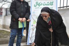 به مناسبت هفته درختکاری ۴اصله نهال به یاد شهدای نوجوان عضو کتابخانه های عمومی کرمان در رشت غرس شد