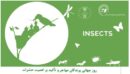 حفاظت محیط زیست استان گیلان:  روز جهانی پرندگان مهاجر و تأکید بر اهمیت حشرات