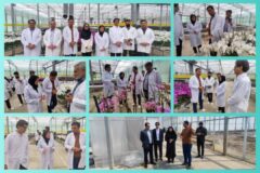 🔹️فرماندار سیاهکل از واحد تولیدی نداگستر میلاد بازدید کرد: