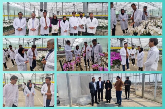 🔹️فرماندار سیاهکل از واحد تولیدی نداگستر میلاد بازدید کرد: