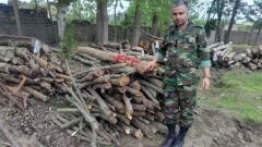 کشف محموله چوب قاچاق در رودسر