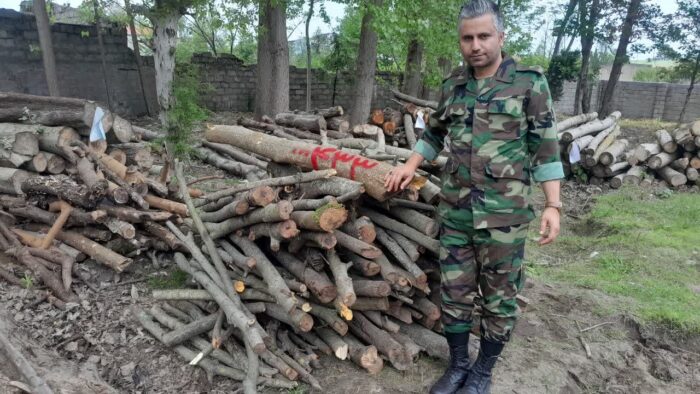 کشف محموله چوب قاچاق در رودسر