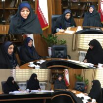 فرماندار شهرستان سیاهکل در دیدار مسئول بانوان و خانواده ناحیه مقاومت بسیج شهرستان با وی: بانوان در حفظ و پاسداری از انقلاب اسلامی پیشگام هستند