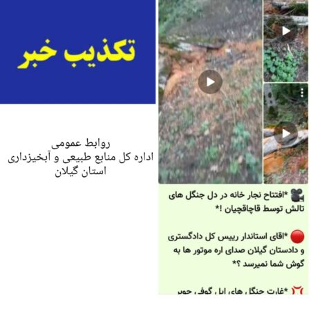 واکنش منابع طبیعی گیلان به خبر “افتتاح نجّارخانه در جنگل‌های تالش”: تشویش اذهان عمومی است!