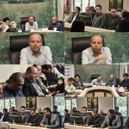 حفاظت از اراضی ملی و جنگلی اولویت سازمان منابع طبیعی و آبخیزداری است