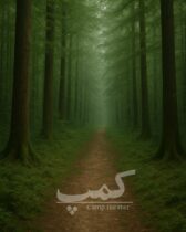 نمایش « کمپ » با کارگردانی مرتضی یکرنگ و تهیه‌کنندگی سامان باقرپور ،  شهریورماه ۱۴۰۴ در سالن تالار مرکزی رشت روی صحنه می‌رود.