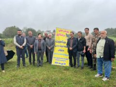 کاشت ۸ اصله نهال کاج در سیاهکل همزمان با هفته تربیت بدنی