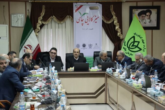 معاون سازمان توسعه در سفر به لاهیجان: لاهیجان علاوه بر قطب تولید، می تواند پایتخت تجارت چای کشور شود
