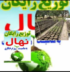 رئیس اداره جنگلکاری ،پارکها وذخیره گاههای جنگلی ازتوزیع رایگان یک میلیون ودویست هزار نهال در بین مردم خبرداد