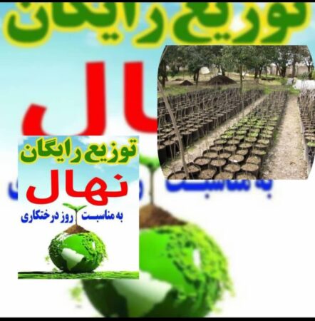 رئیس اداره جنگلکاری ،پارکها وذخیره گاههای جنگلی ازتوزیع رایگان یک میلیون ودویست هزار نهال در بین مردم خبرداد