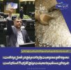 لغو ممنوعیت واردات برنج در فصل برداشت، خلاف صریح قانون و تهدیدی برای معیشت ۱۹ استان است
