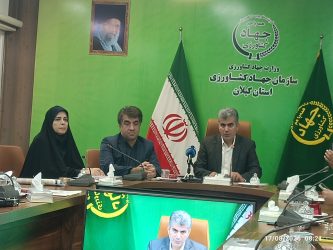 پیش‌بینی برداشت طلای سفید در گیلان؛ یک میلیون و ۱۵۰ هزار تن شلتوک در راه است