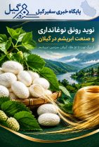 دکتر سعید دکتر رحمت‌زاده: واردات نخ ابریشم، مانع اصلی رونق نوغانداری در صومعه‌سرا است